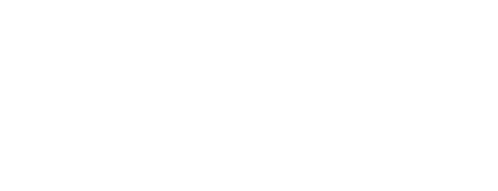 Fusion Fusion