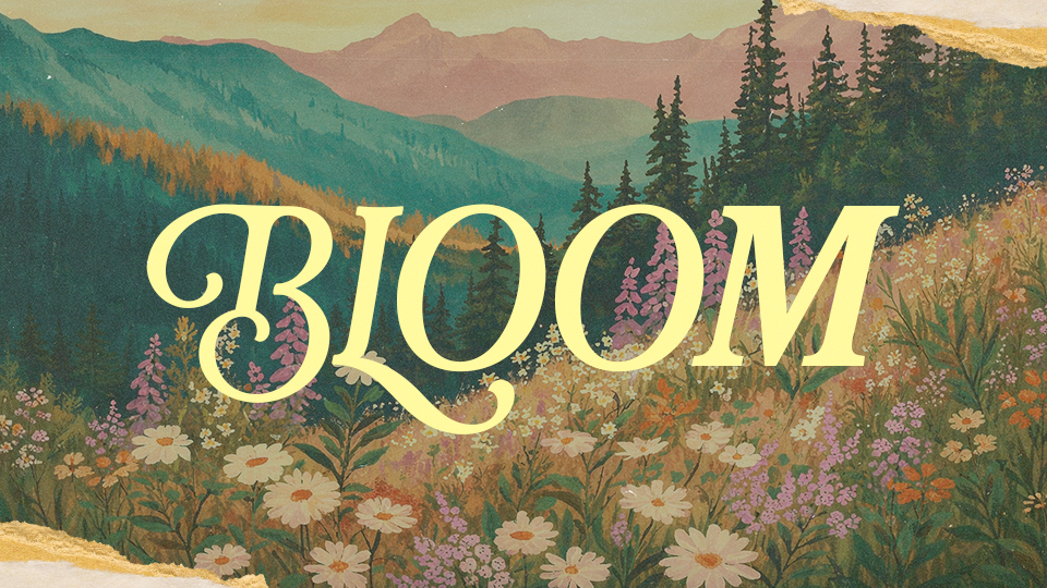 Bloom_Featured